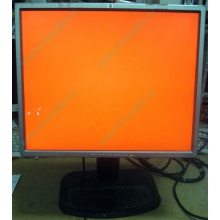 Монитор 19" TFT HP 1955 (DVI в Краснодаре, USB-хаб) "квадратный" (Краснодар)