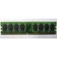Модуль оперативной памяти 4096Mb DDR2 Patriot PSD24G8002 pc-6400 (800MHz)  (Краснодар)