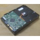 Жесткий диск HP 250Gb 7200 rpm 432337-001/ 399699-001 / 397377-004 (Краснодар)