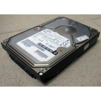 Жесткий диск 18.2Gb IBM Ultrastar DDYS-T18350 Ultra3 SCSI (Краснодар)