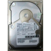 Жесткий диск 18.2Gb IBM Ultrastar DDYS-T18350 Ultra3 SCSI (Краснодар)