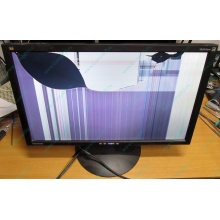 ViewSonic VA2413WM-2 разбитая матрица (Краснодар)