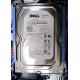 Б/У жёсткий диск Dell SATA (WD WD1601ABYS 7200 rpm) 3.5" HDD (Краснодар)