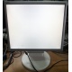 Монитор 17" TFT Nec MultiSync LCD175VXM+ бело-серебристый (Краснодар)