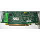 Видеокарта Dell ATI-102-B17002(B) зелёная 256Mb ATI HD2400 PCI-E (Краснодар)