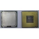 Процессор Intel Celeron D 336 (2.8GHz /256kb /533MHz) SL98W s.775 (Краснодар)
