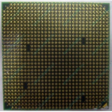 Процессор AMD Athlon 64300+ (1.8GHz) ADA3000IAA4CN s.AM2 (Краснодар)