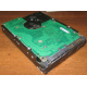 Жесткий диск 300Gb 15k Seagate Cheetach ST3300656SS 15K.6 Dell 9CH066-050 6G SAS (Краснодар)